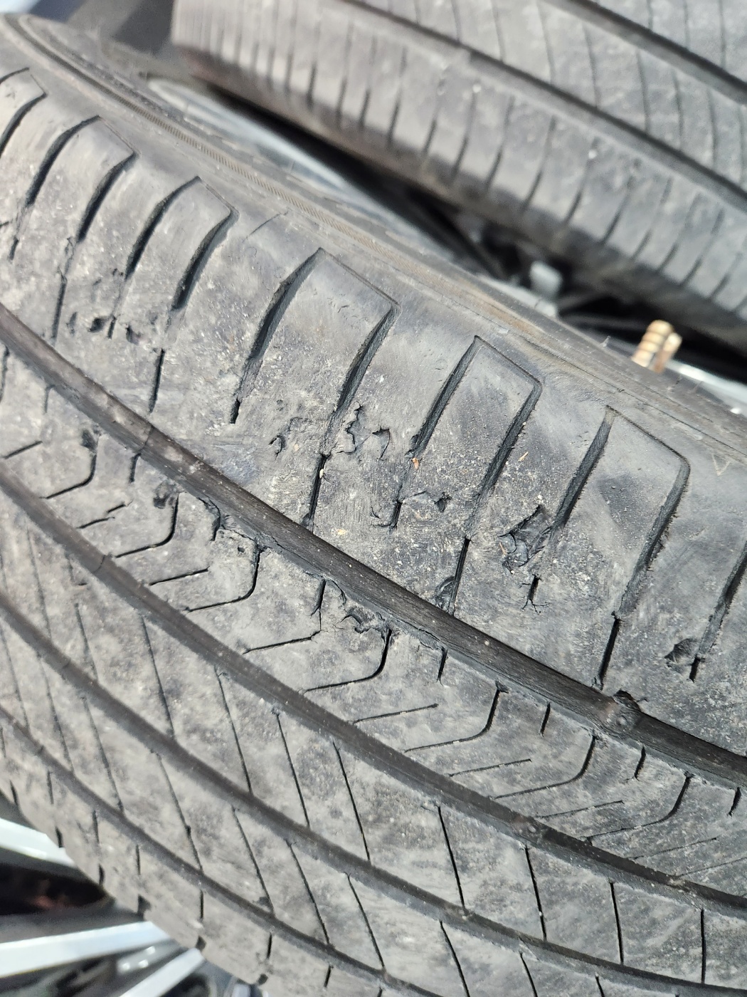 1948697120_5v3HMzmQ_f15c6e4e9e3f8a7a35371aa86e092f4c3c2c7faa.jpg 이미지크게보기