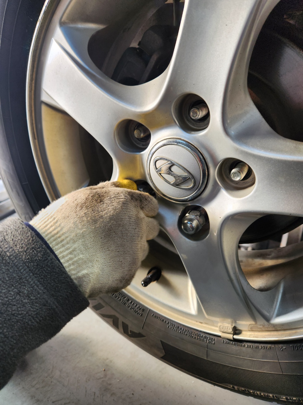 1948697120_EAmgaNwf_966c6fdd561c47209dba66b5f13825756301aad6.jpg 이미지크게보기