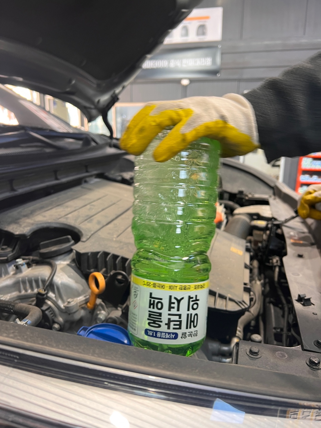 1948697120_bXztpr4P_1ad8ca6bc1f2882e53da747206273ed923431605.jpg 이미지크게보기