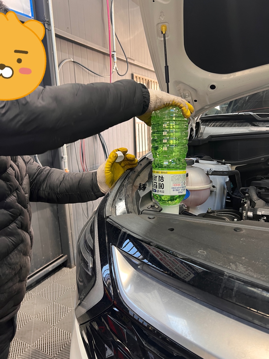 1948697120_e6O8Czcj_6df13293b12578307f2331c3e6b5bbe866afa6da.jpg 이미지크게보기