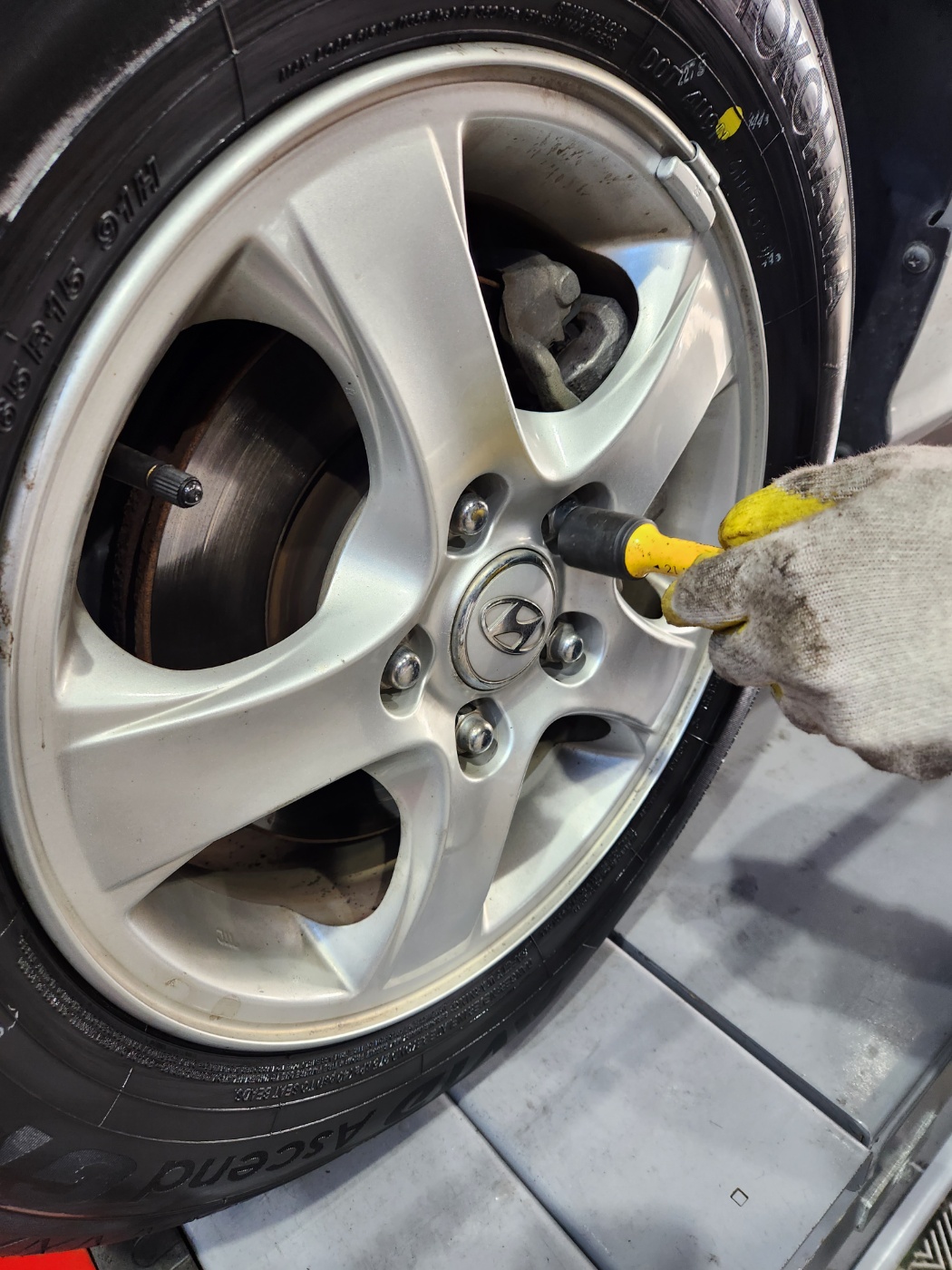 1948697120_eX8t1U5M_9d3cd87a96ce6d71c46ad2e88b54ef4a9a643eec.jpg 이미지크게보기