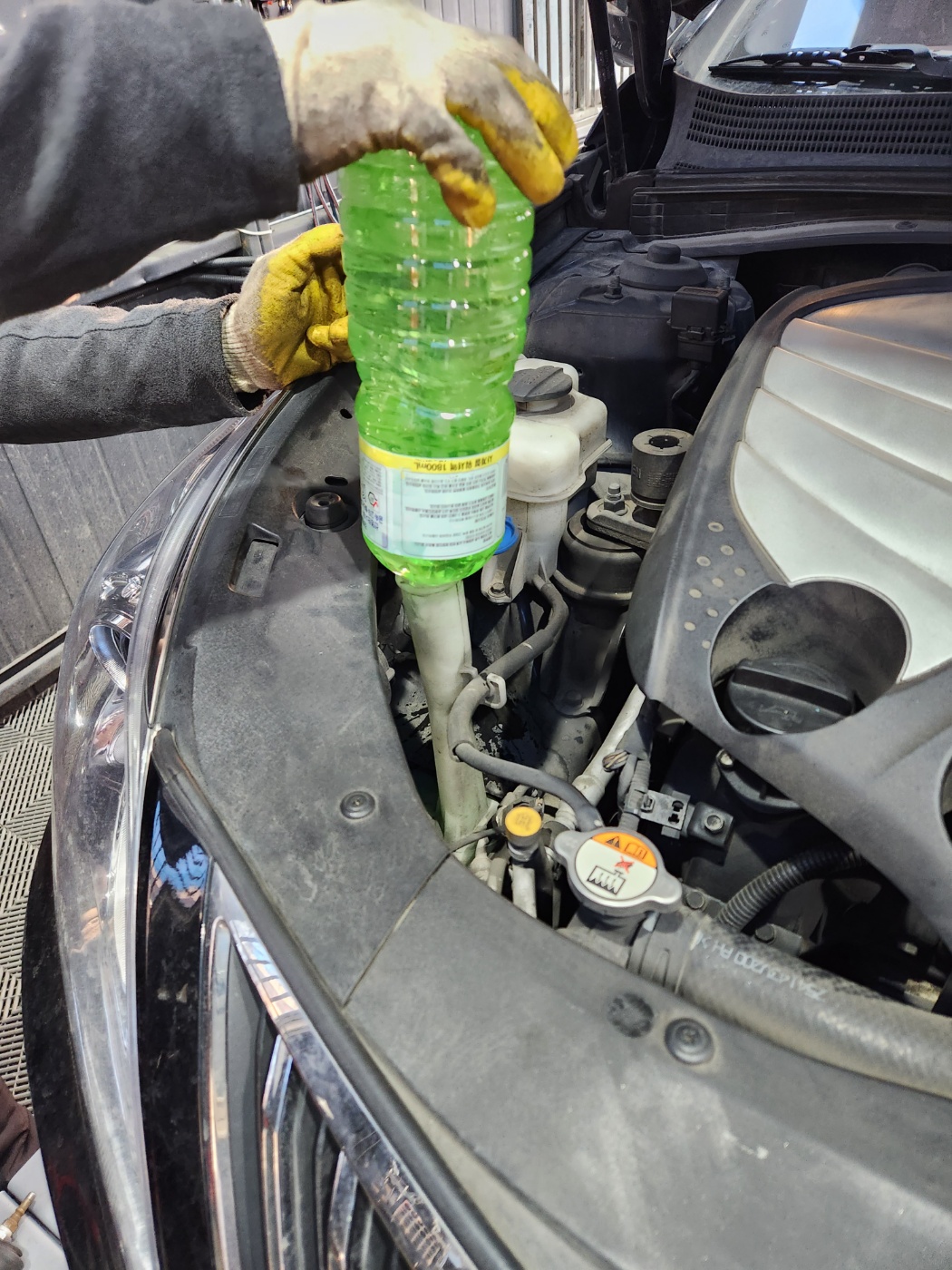 1948697120_jJTGAS8Z_b894a1e8fbef62366db0a67fda3d123d61abe8ca.jpg 이미지크게보기