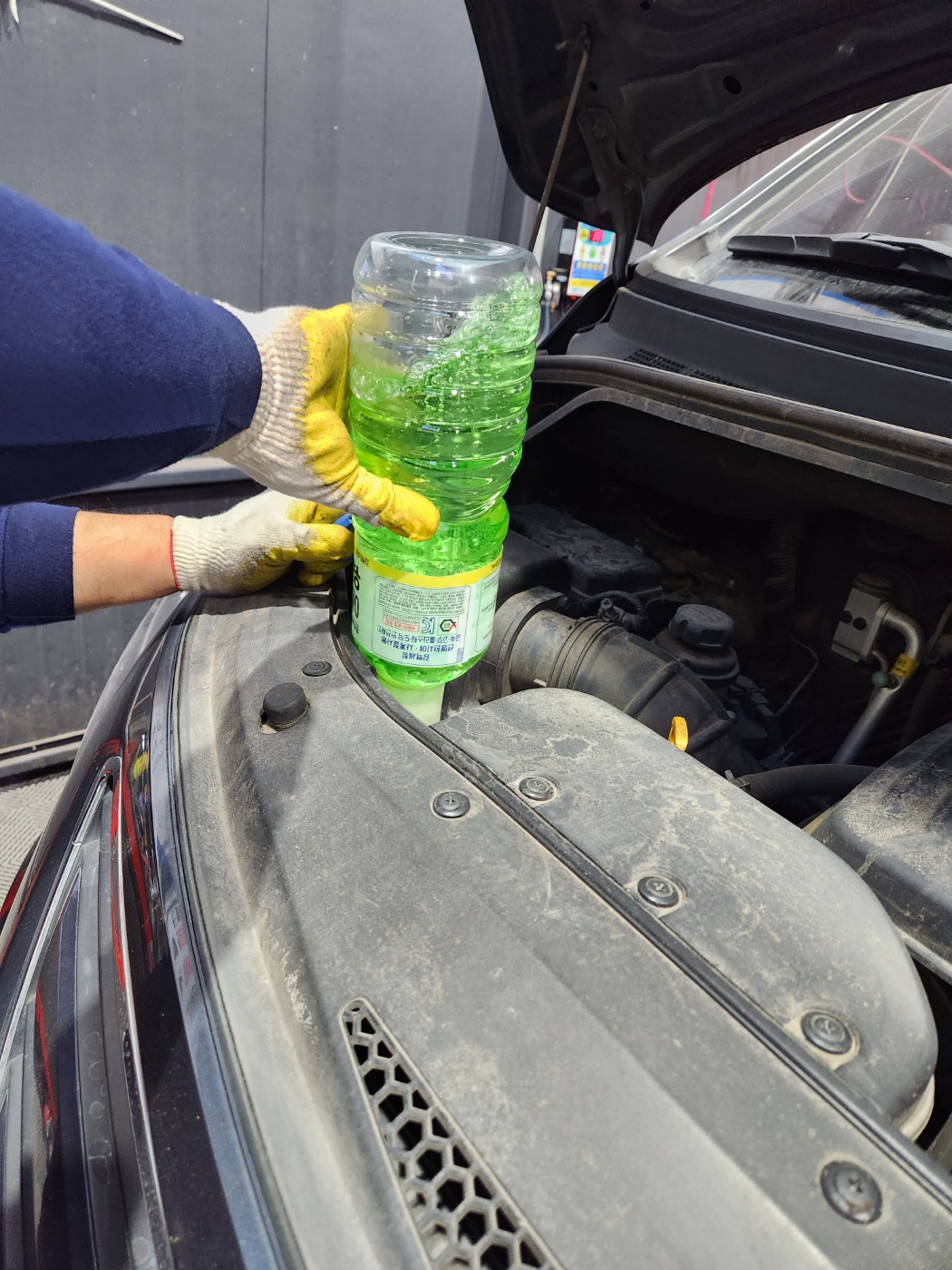 1948697120_vgcAWe2a_83f19762e82c428d5931f85f468934872e3963b0.jpg 이미지크게보기