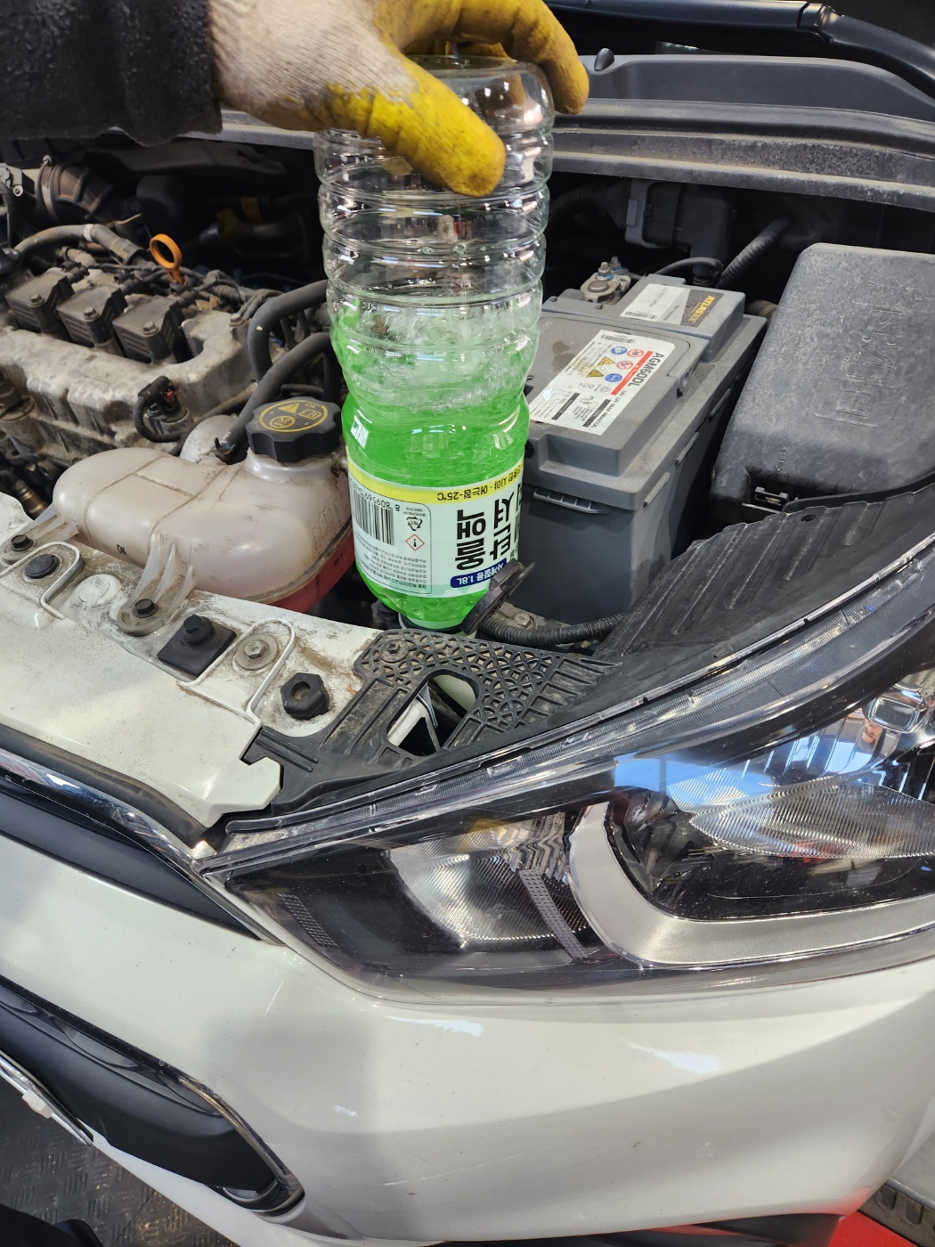 1948697120_xd6hpKi1_f873021e8495bf4b16946a6a9cec766dcb19fdf3.jpg 이미지크게보기