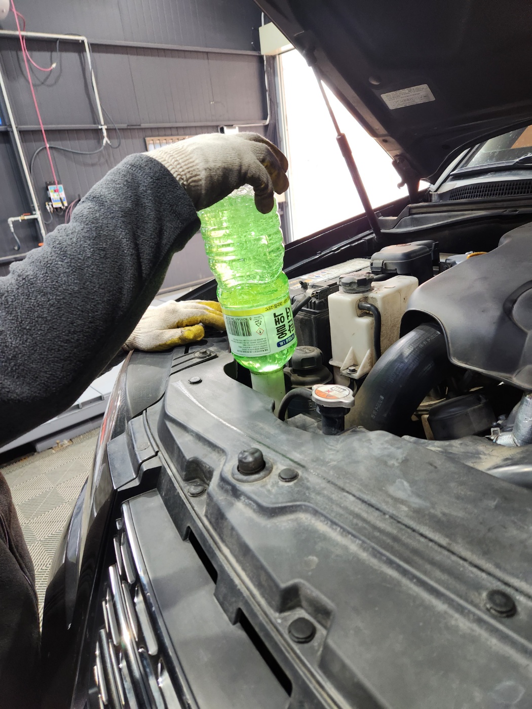 1948697120_zUvhKFsS_10776090c80c99451743312fc964f1ad49c758bd.jpg 이미지크게보기