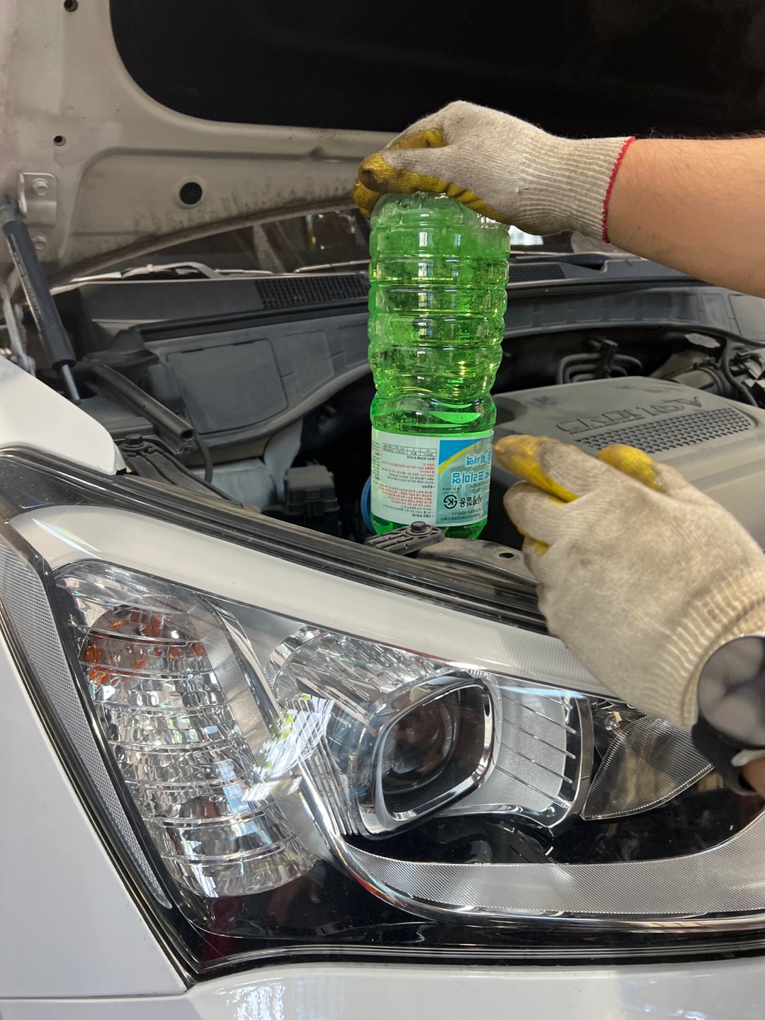 /user/k/kingkongtire/editor/2305/1424f67056bb6a2026331344791dbedb_1685059324_0602.jpg 이미지크게보기