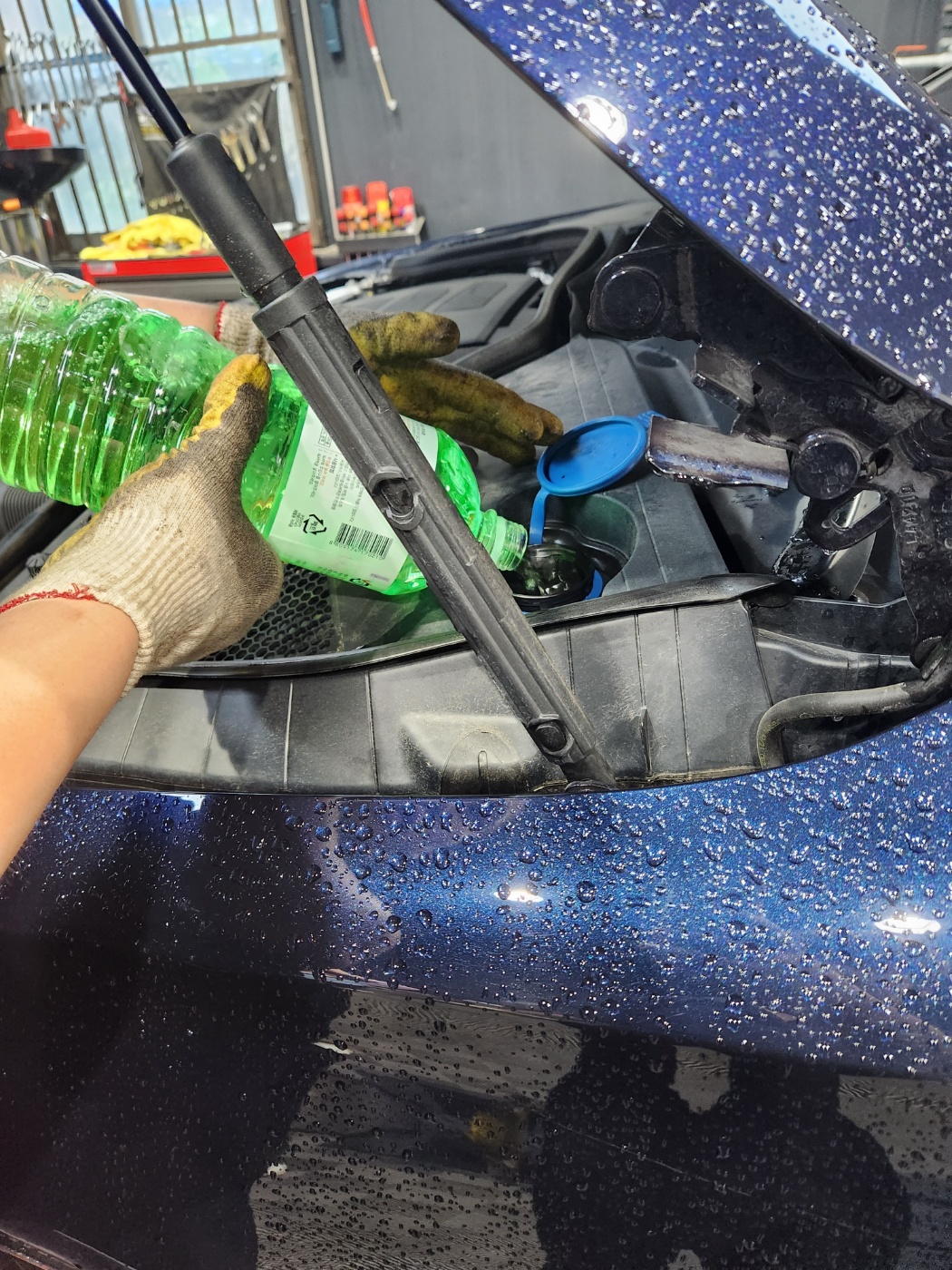 /user/k/kingkongtire/editor/2305/503dd326a99780e75b87e7f4c238836d_1685326054_871.jpg 이미지크게보기