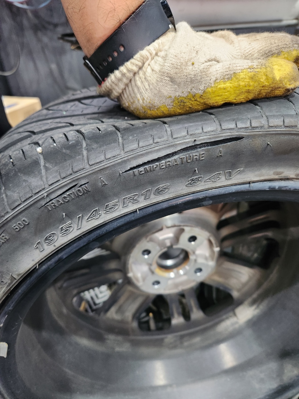 /user/k/kingkongtire/editor/2307/a85c6237ca7915cfb083f68a5fd1cec2_1688178179_4306.jpg 이미지크게보기