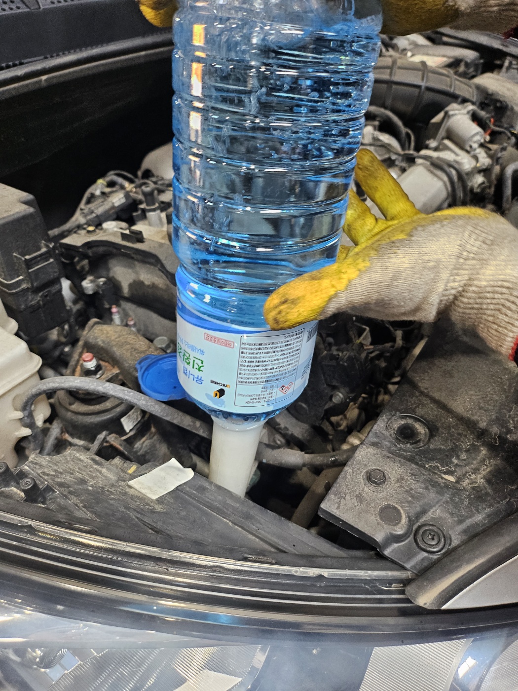 /user/k/kingkongtire/editor/2308/10bb168d710eb2d8e915932dc726b953_1692247237_819.jpg 이미지크게보기