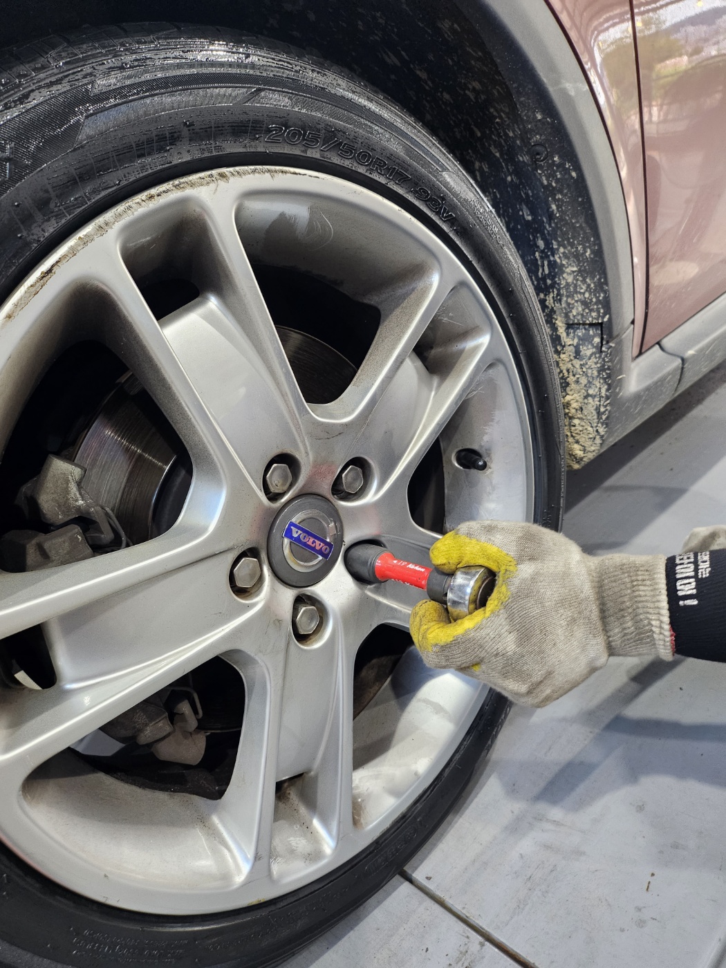 /user/k/kingkongtire/editor/2308/10bb168d710eb2d8e915932dc726b953_1692251801_0036.jpg 이미지크게보기