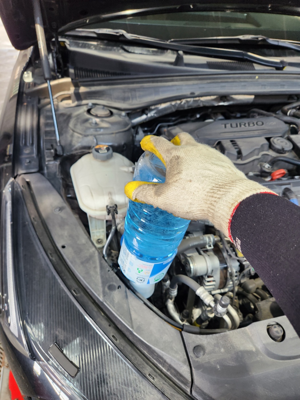 /user/k/kingkongtire/editor/2308/8172c81130d290c735d720177e7b6938_1692498497_8728.jpg 이미지크게보기