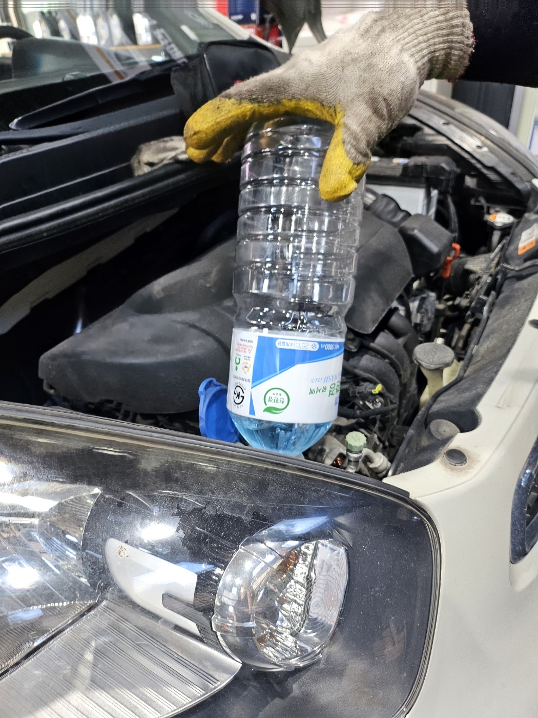 /user/k/kingkongtire/editor/2308/8a1af9be796cb999c5673a689d98608b_1692684184_5968.jpg 이미지크게보기