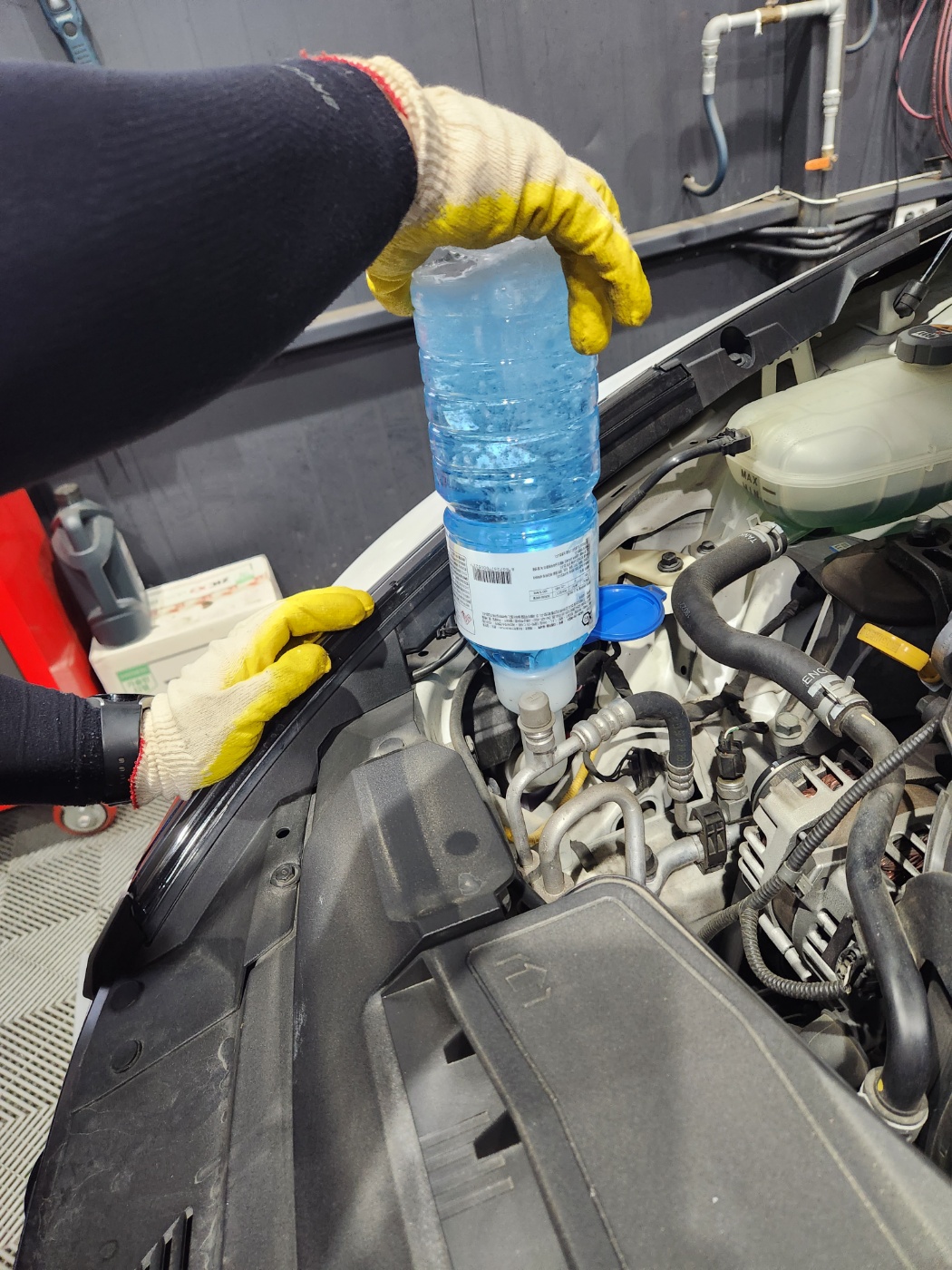 /user/k/kingkongtire/editor/2308/b95ec5580b5368972cc97945f072d348_1693352320_8133.jpg 이미지크게보기