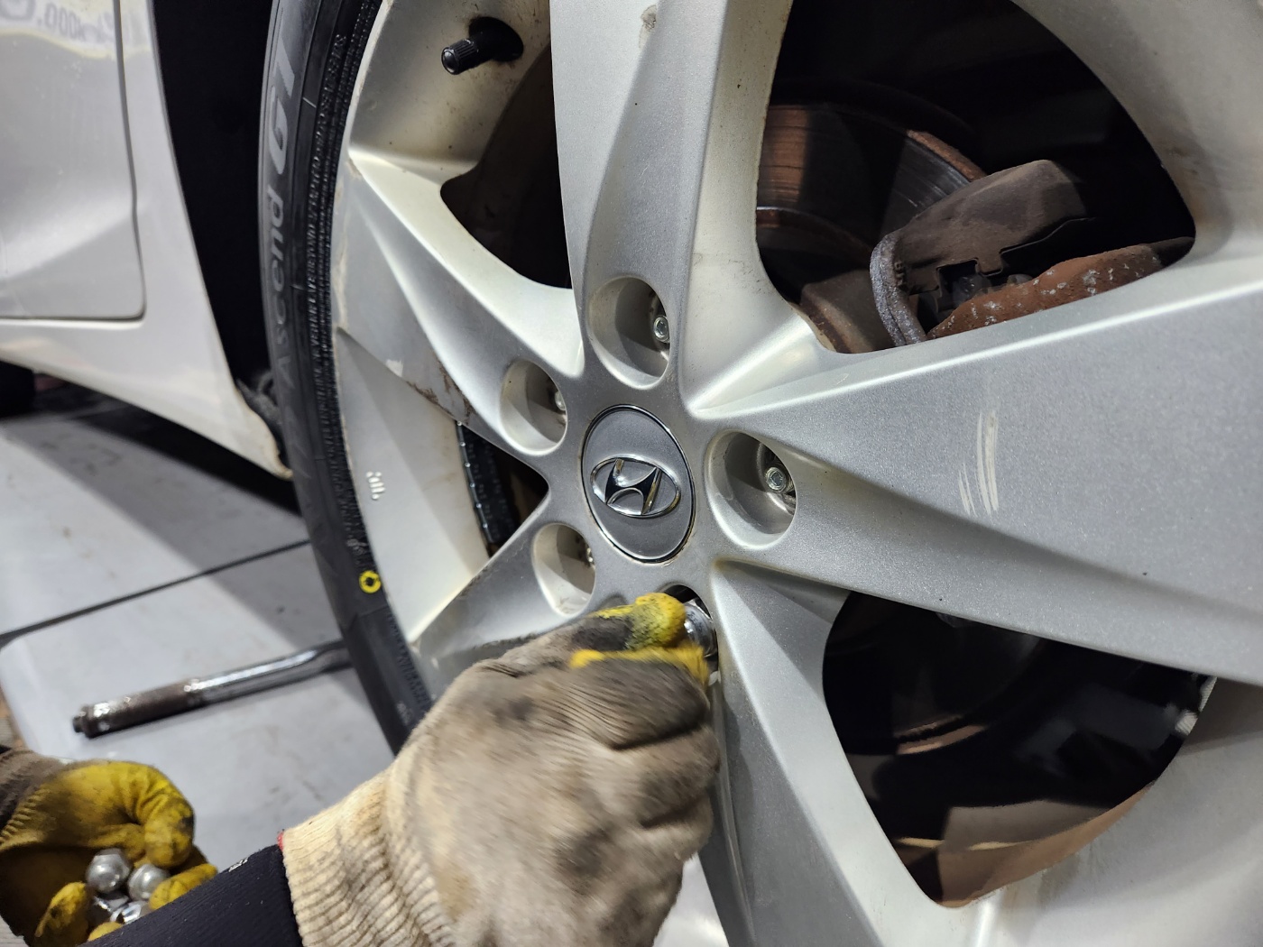 /user/k/kingkongtire/editor/2308/b95ec5580b5368972cc97945f072d348_1693352360_9314.jpg 이미지크게보기