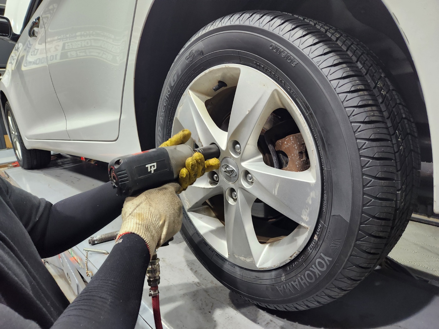 /user/k/kingkongtire/editor/2308/b95ec5580b5368972cc97945f072d348_1693352361_9761.jpg 이미지크게보기