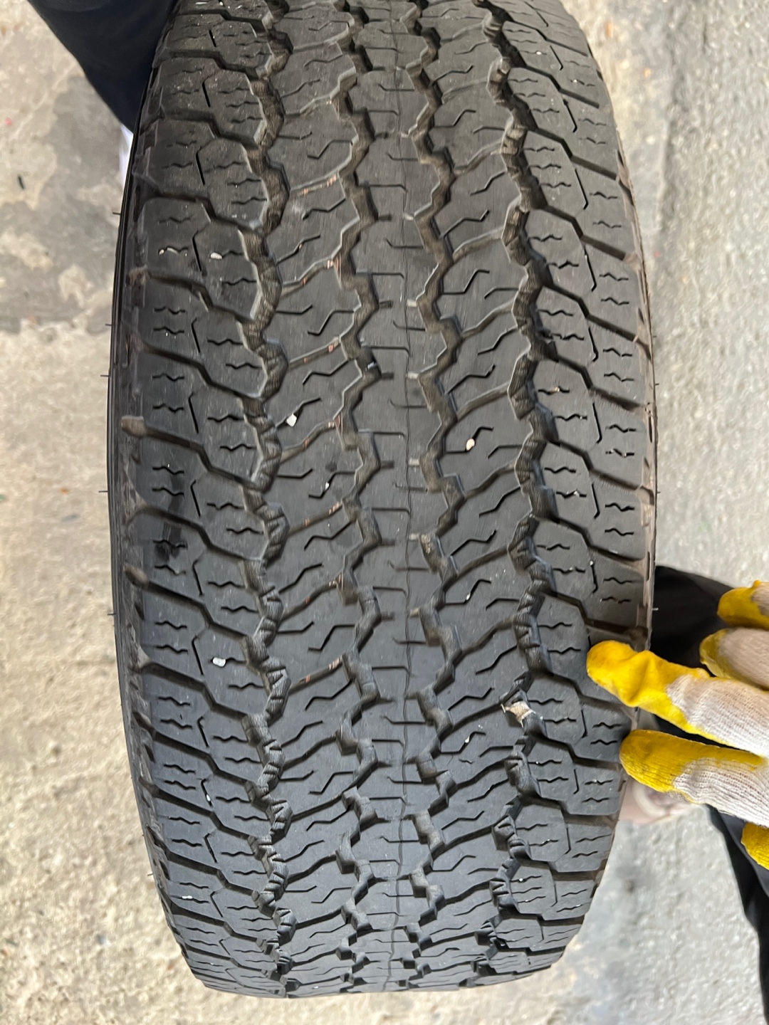 /user/k/kingkongtire/editor/2308/e9c78b522c0787c1361b6f0190bad535_1691491549_5169.jpg 이미지크게보기