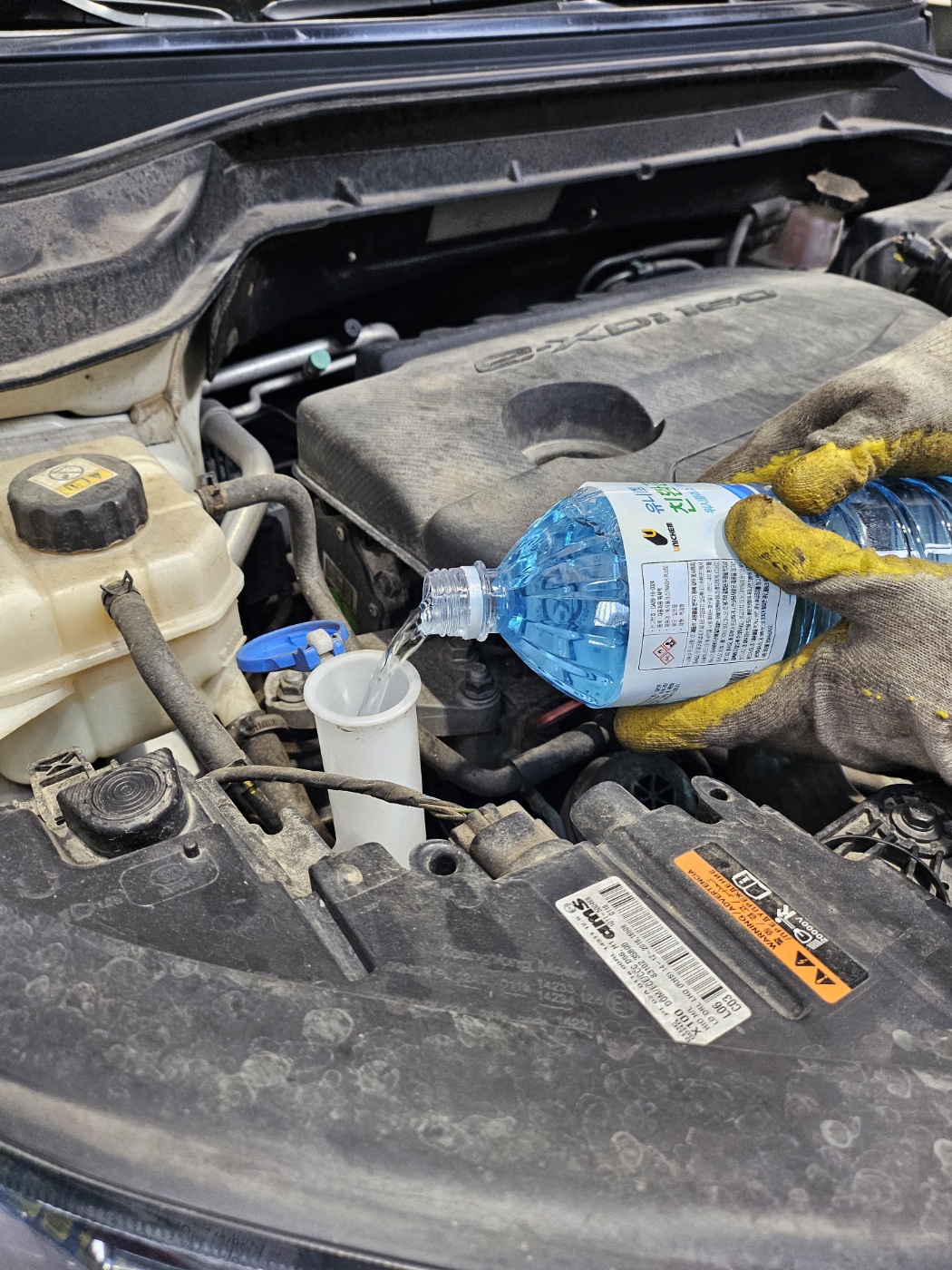 /user/k/kingkongtire/editor/2310/0c88e4e08ba70de4f87c3ef4cafce216_1697682920_3159.jpg 이미지크게보기