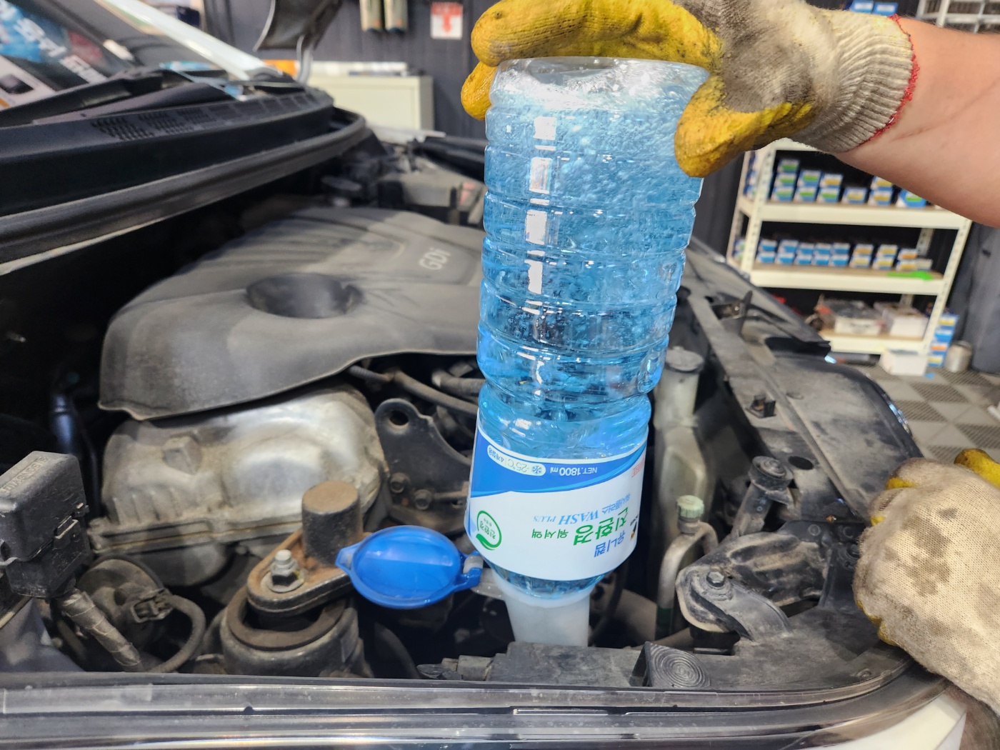 /user/k/kingkongtire/editor/2310/61bcb2743bbd0a91c1a79d02fe3329b1_1696575219_9014.jpg 이미지크게보기