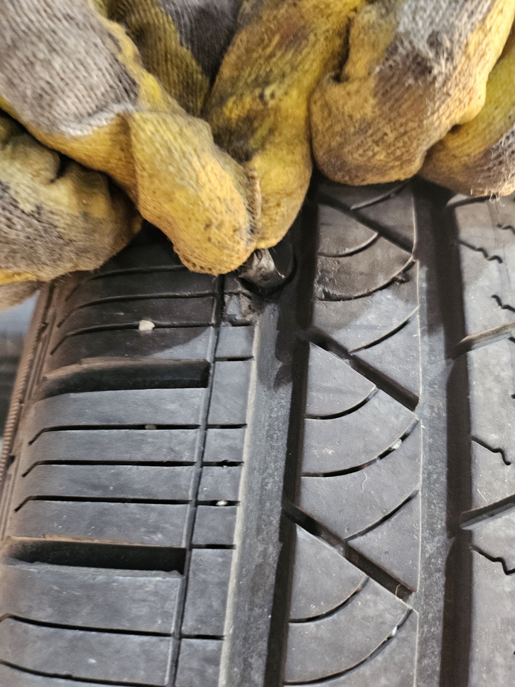 /user/k/kingkongtire/editor/2310/8947140ac536bd2a4540bd10c42a575c_1697617125_7884.jpg 이미지크게보기