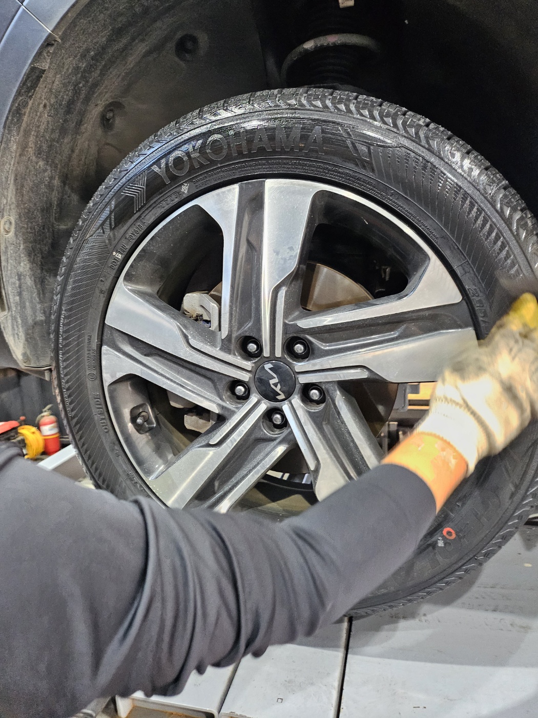 /user/k/kingkongtire/editor/2310/8947140ac536bd2a4540bd10c42a575c_1697617127_7732.jpg 이미지크게보기