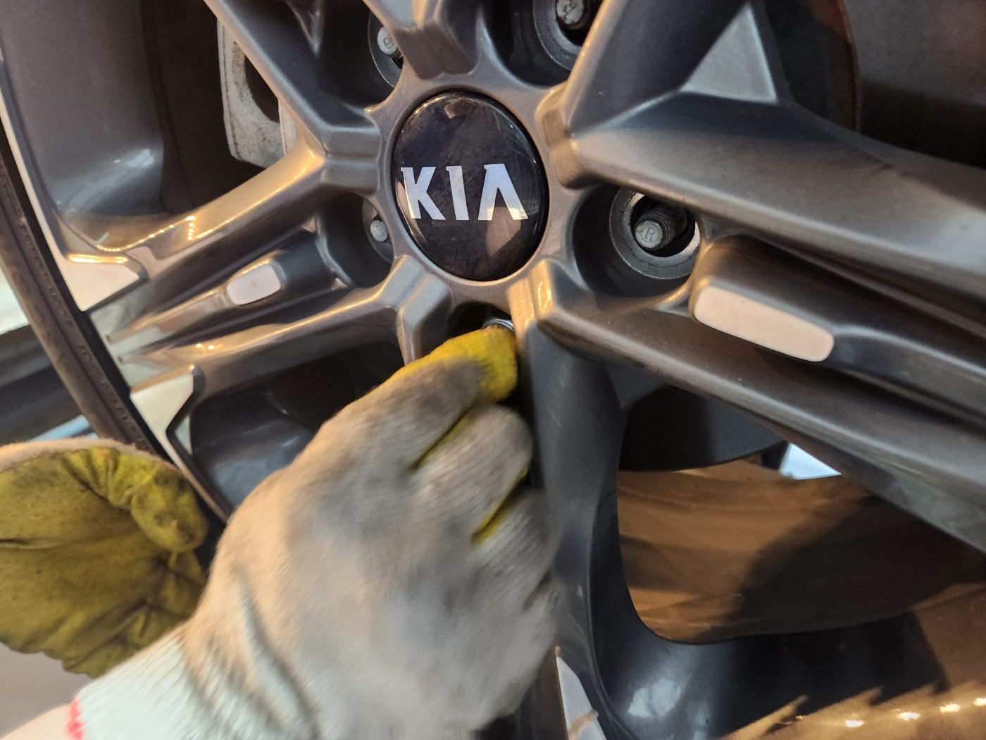 /user/k/kingkongtire/editor/2310/aa8dda7b454a22ed4cc7dce61bd1d7c8_1696418153_1546.jpg 이미지크게보기