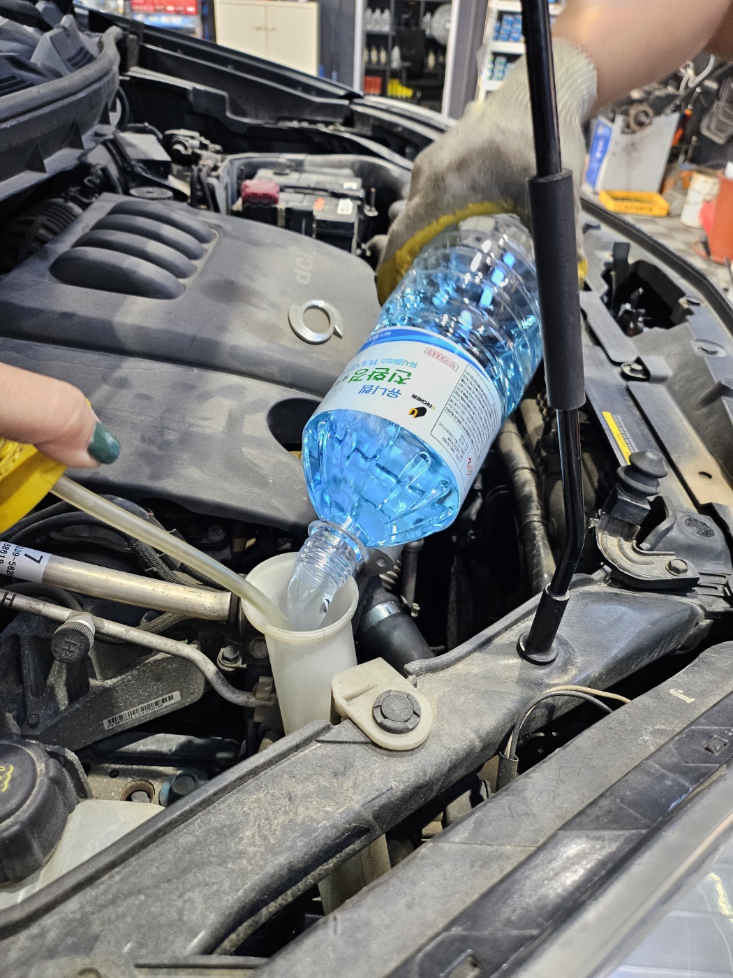 /user/k/kingkongtire/editor/2310/b74c11d816ace0e96c21c80138ddc363_1697529902_7269.jpg 이미지크게보기