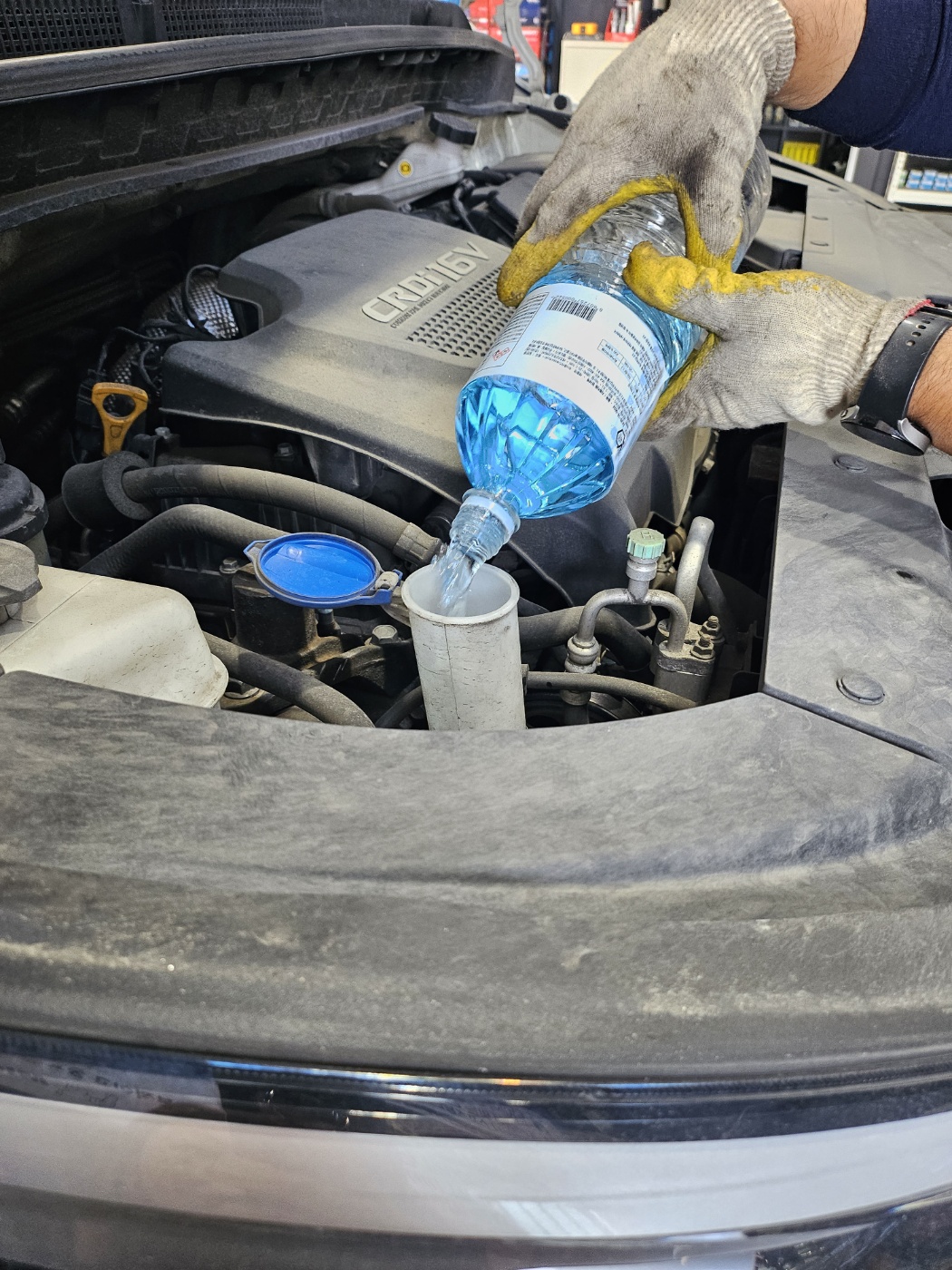 /user/k/kingkongtire/editor/2311/22c4f896dc2234414c19bb705ae4f220_1698896301_4118.jpg 이미지크게보기