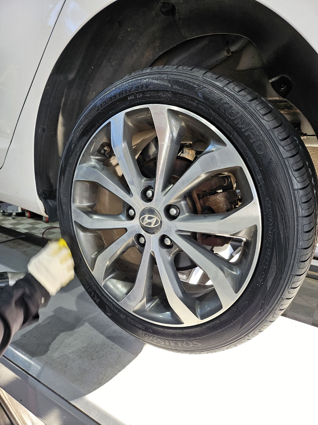 /user/k/kingkongtire/editor/2311/69effc1692de420462d8076e9a11980f_1699858523_9271.jpg 이미지크게보기