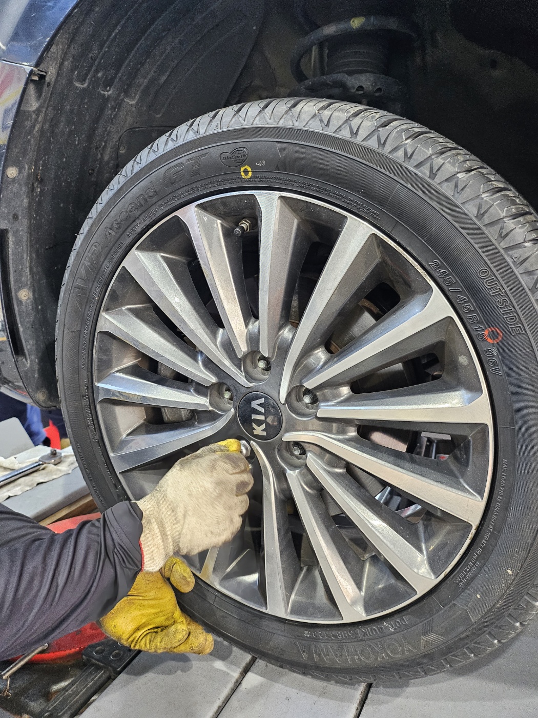 /user/k/kingkongtire/editor/2311/be6f25f2bb13fd2314e86cbeb9522b9f_1699512384_884.jpg 이미지크게보기