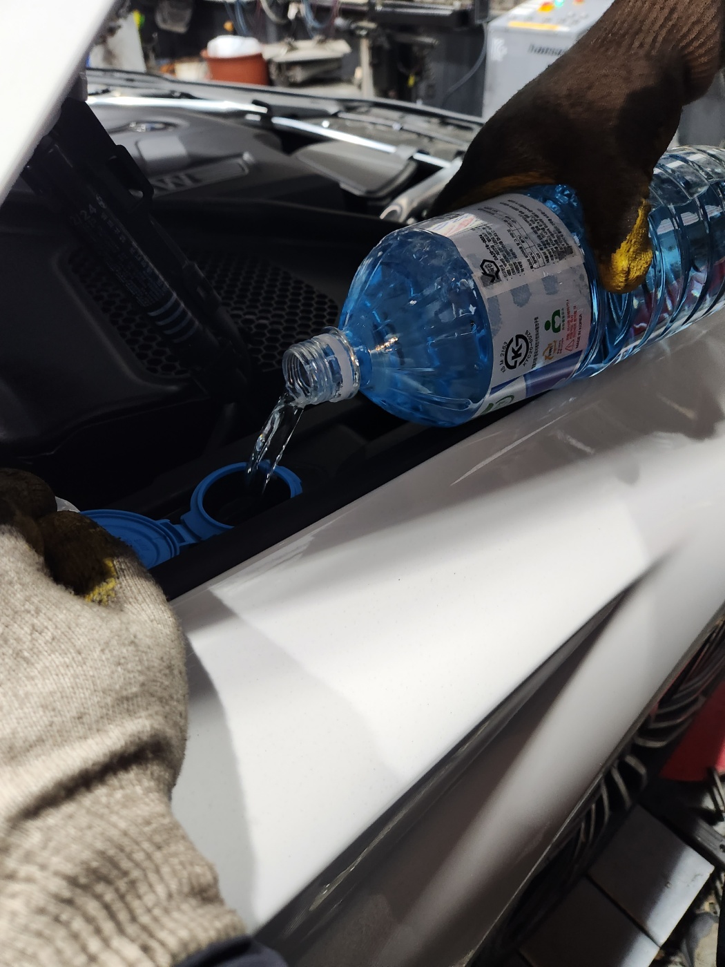 /user/k/kingkongtire/editor/2311/be6f25f2bb13fd2314e86cbeb9522b9f_1699523454_6857.jpg 이미지크게보기