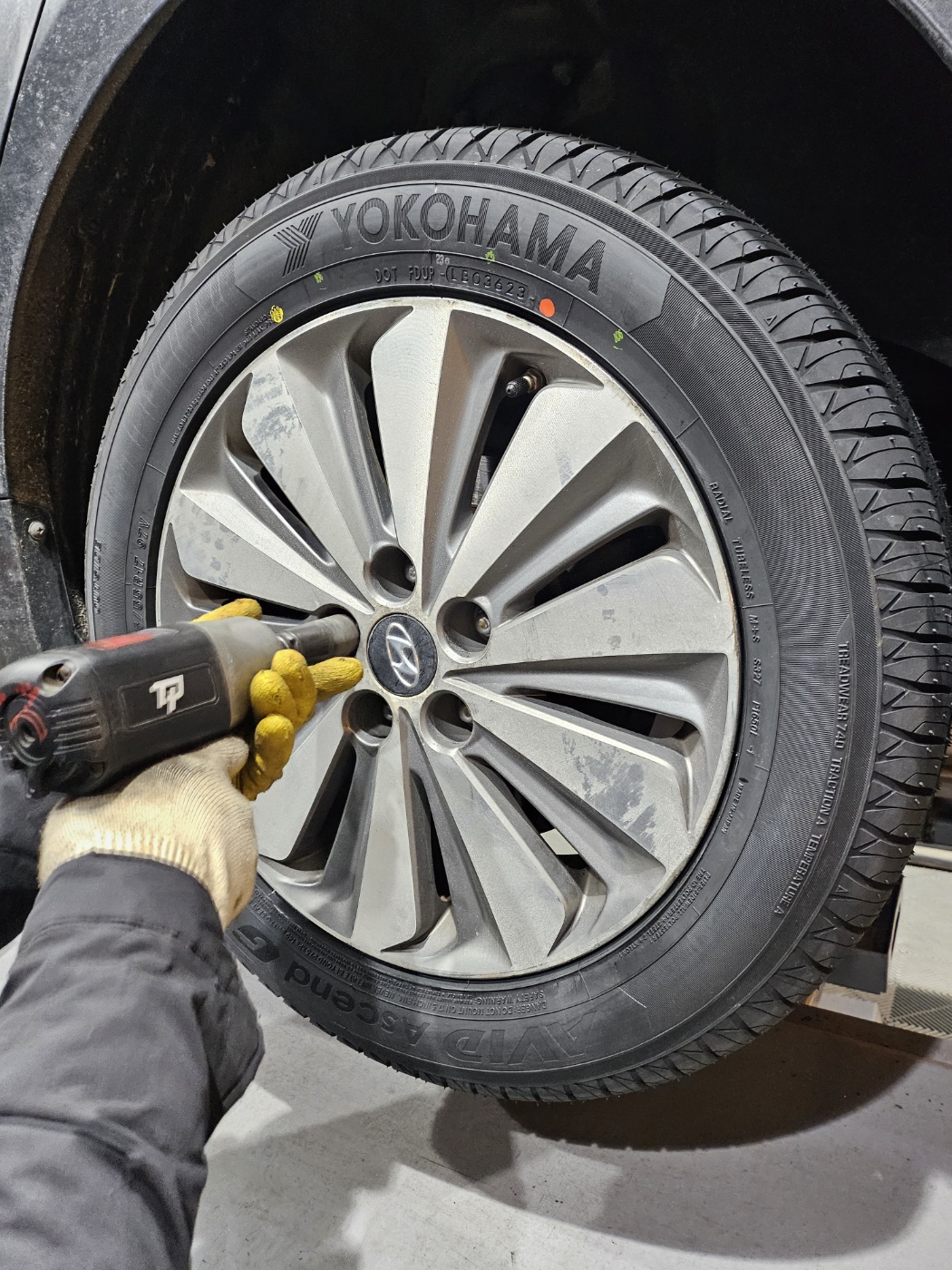 /user/k/kingkongtire/editor/2312/7e0abc38dd4999eb00ce38817962b791_1701388375_4738.jpg 이미지크게보기