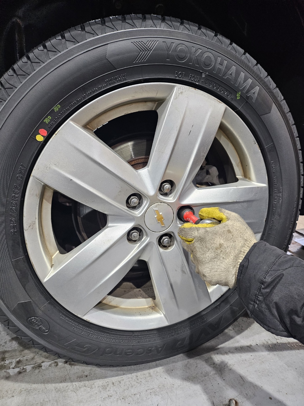 /user/k/kingkongtire/editor/2312/99f75b281a076132f91416e08091a89a_1702623823_6772.jpg 이미지크게보기