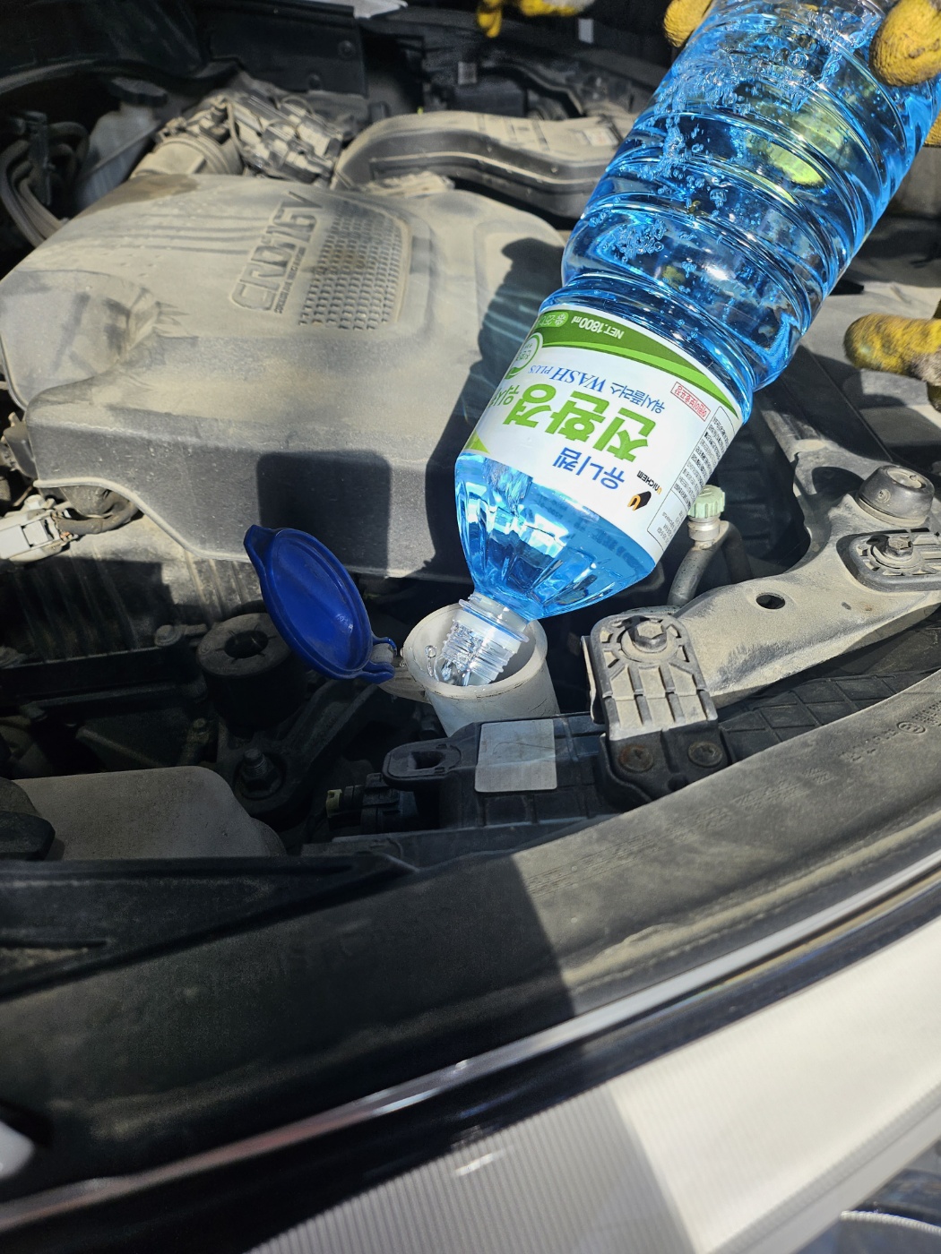 /user/k/kingkongtire/editor/2312/a197aa0895f618314362be1ef8b01afe_1702002812_2906.jpg 이미지크게보기