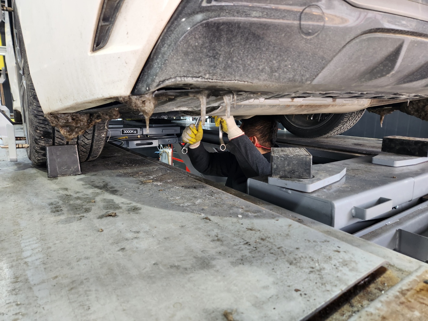 /user/k/kingkongtire/editor/2312/ca5ed36ba2d25367ffed87584c7c6293_1702952188_6392.jpg 이미지크게보기