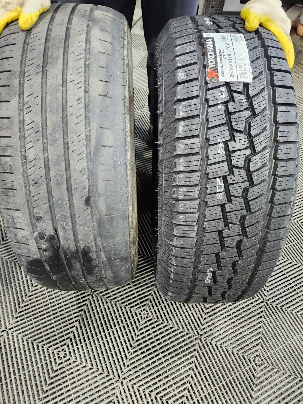 /user/k/kingkongtire/editor/2312/ccf75208bdb1814eb0d869a51d23b4fa_1702348881_6045.jpg 이미지크게보기