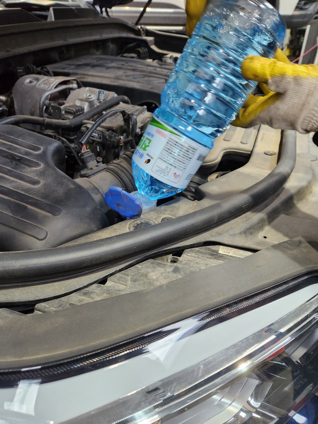 /user/k/kingkongtire/editor/2312/ccf75208bdb1814eb0d869a51d23b4fa_1702348884_087.jpg 이미지크게보기