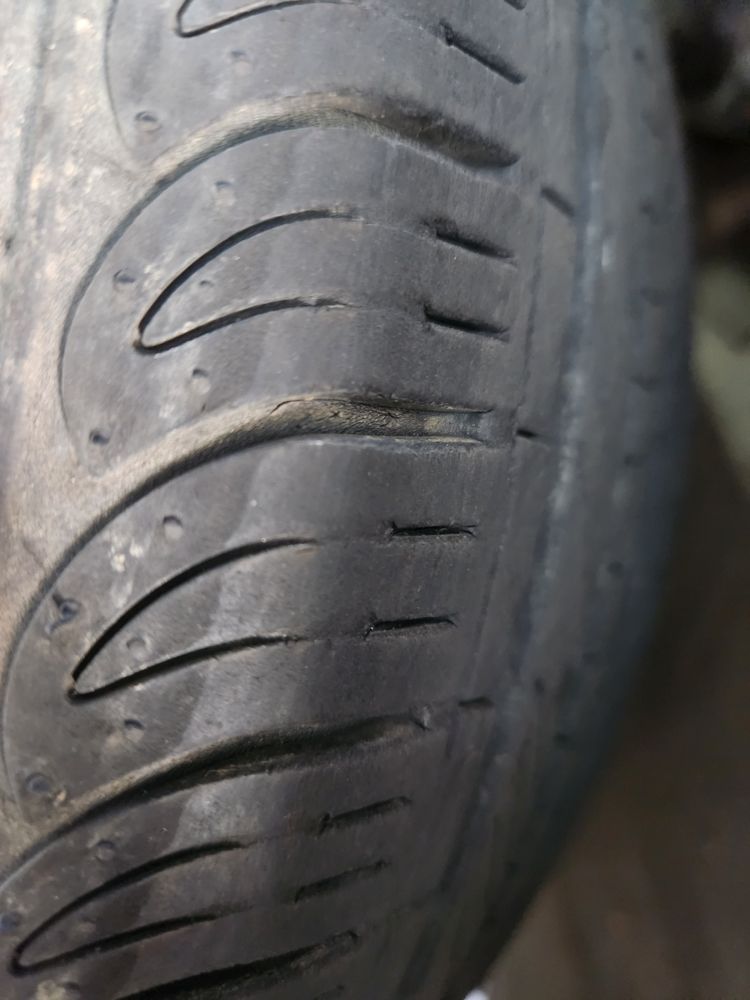 /user/k/kingkongtire/editor/2312/e3f9f6652e900e1be1b2dcf137a79e40_1702086086_5624.jpg 이미지크게보기