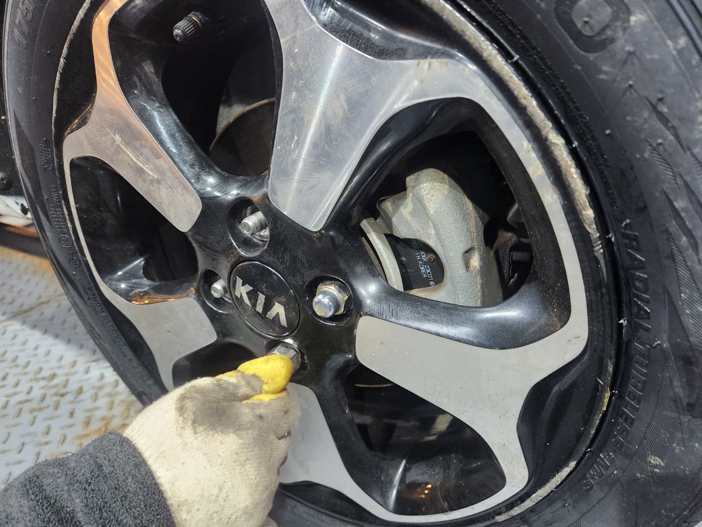 /user/k/kingkongtire/editor/2401/a56bc57c8e9e76ec8ee3b91cbd0b1e02_1704272516_4986.jpg 이미지크게보기