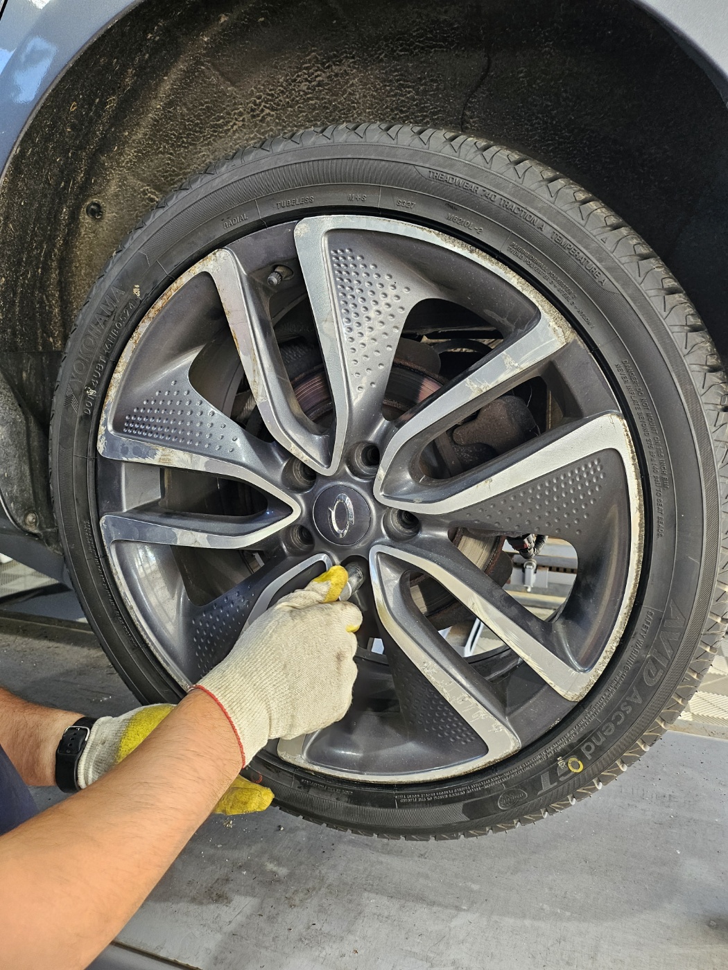 /user/k/kingkongtire/editor/2405/358b086e5b2a40ea747499d8beb34099_1716445898_2219.jpg 이미지크게보기