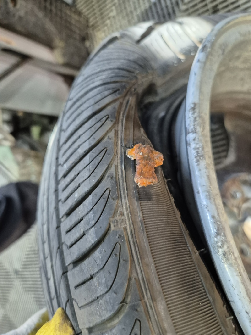 /user/k/kingkongtire/editor/2406/bc1b4b91a6fae518a033436843596b2e_1718159412_5119.jpg 이미지크게보기