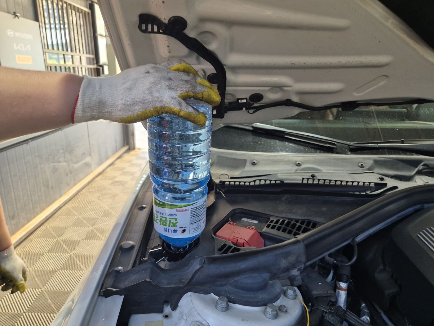 /user/k/kingkongtire/editor/2406/e9aa93c16e802fbcb98c12c5eb76927e_1717489078_0705.jpg 이미지크게보기