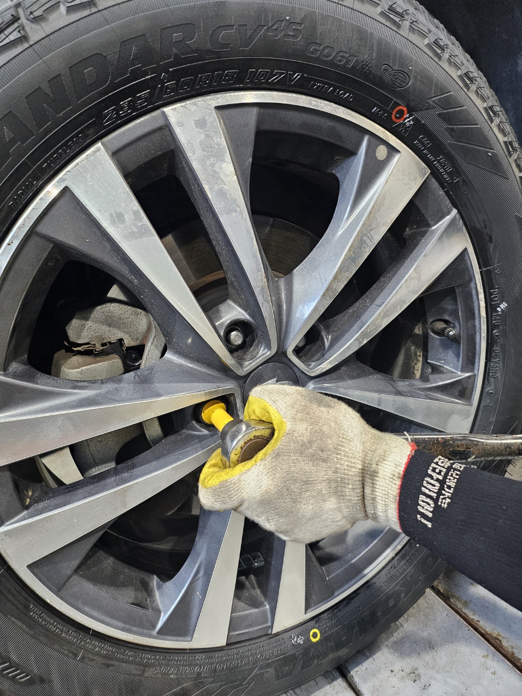 /user/k/kingkongtire/editor/2407/edd22e6a960c3686327ddf133576f289_1721797483_847.jpg 이미지크게보기