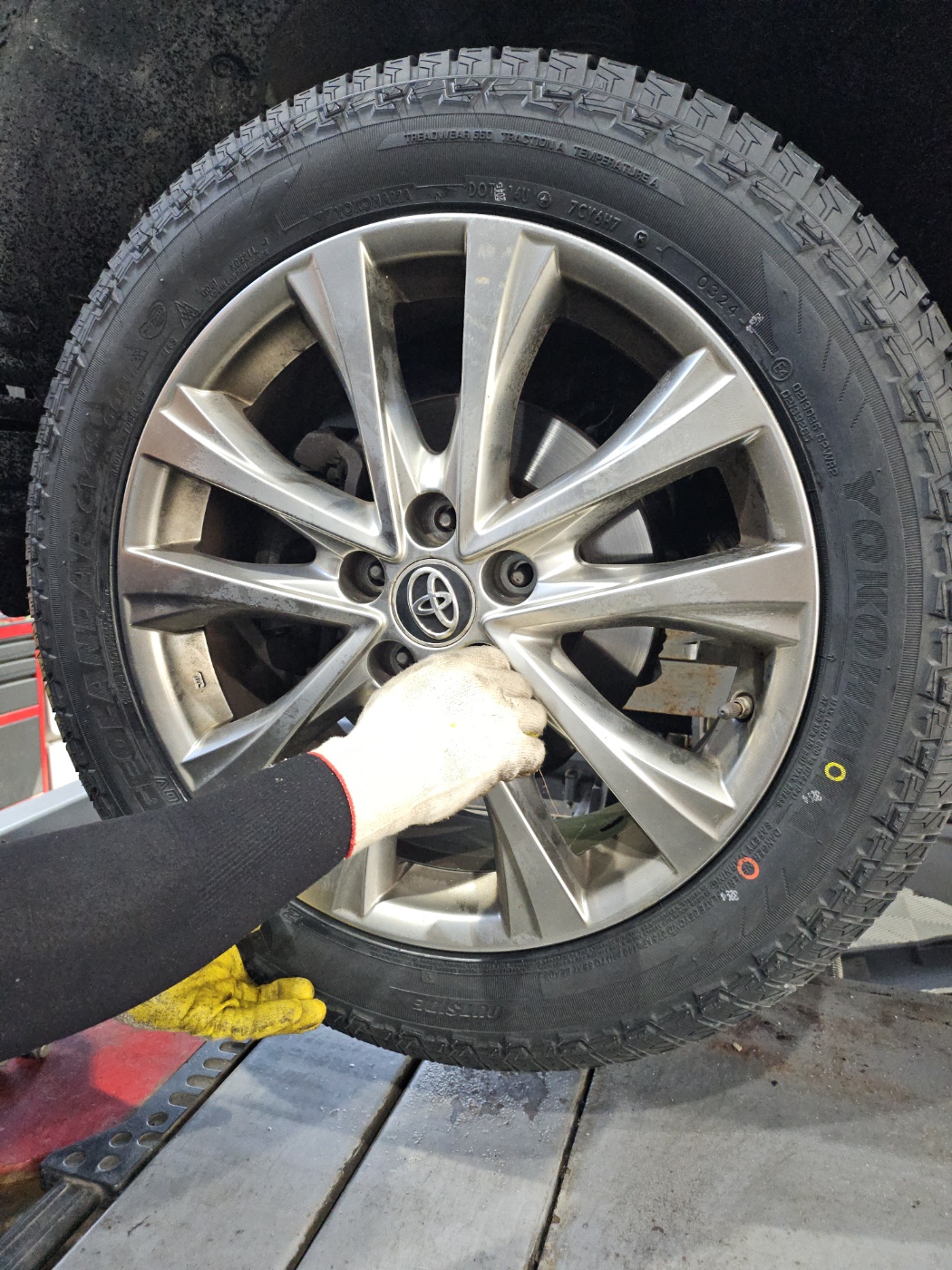 /user/k/kingkongtire/editor/2408/89c933fb01d288a04ad840165d1e1190_1724821790_2333.jpg 이미지크게보기