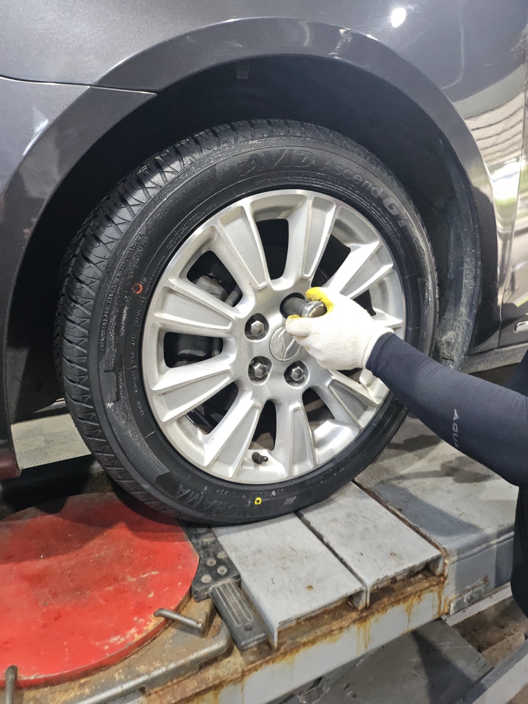 /user/k/kingkongtire/editor/2409/57de5bddcd5b68ece9d445f1e9744f59_1726730356_0616.jpg 이미지크게보기