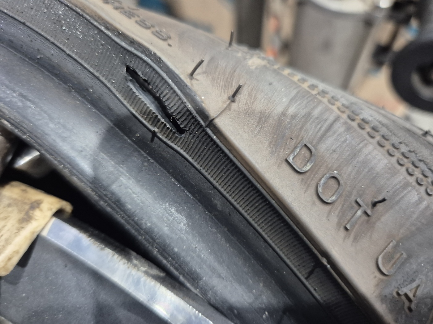 /user/k/kingkongtire/editor/2410/0452474f4dfe04c357c4b6d6dae5b085_1728204189_3326.jpg 이미지크게보기