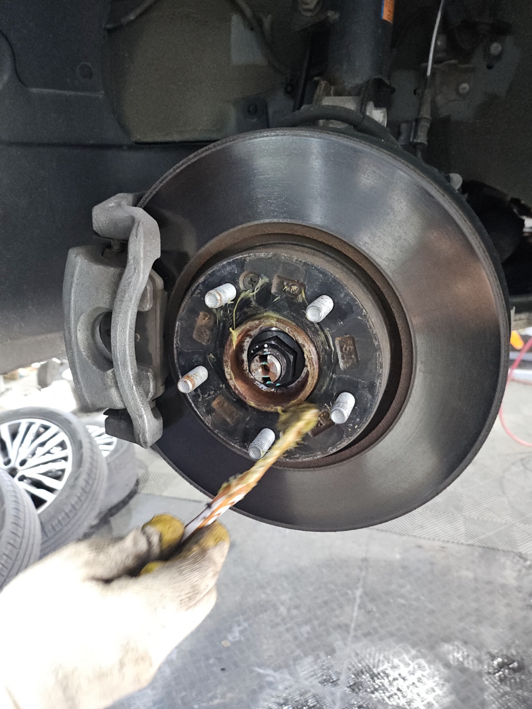 /user/k/kingkongtire/editor/2410/3ad49c94f3711f93465485c4f1f205c7_1730076899_7292.jpg 이미지크게보기