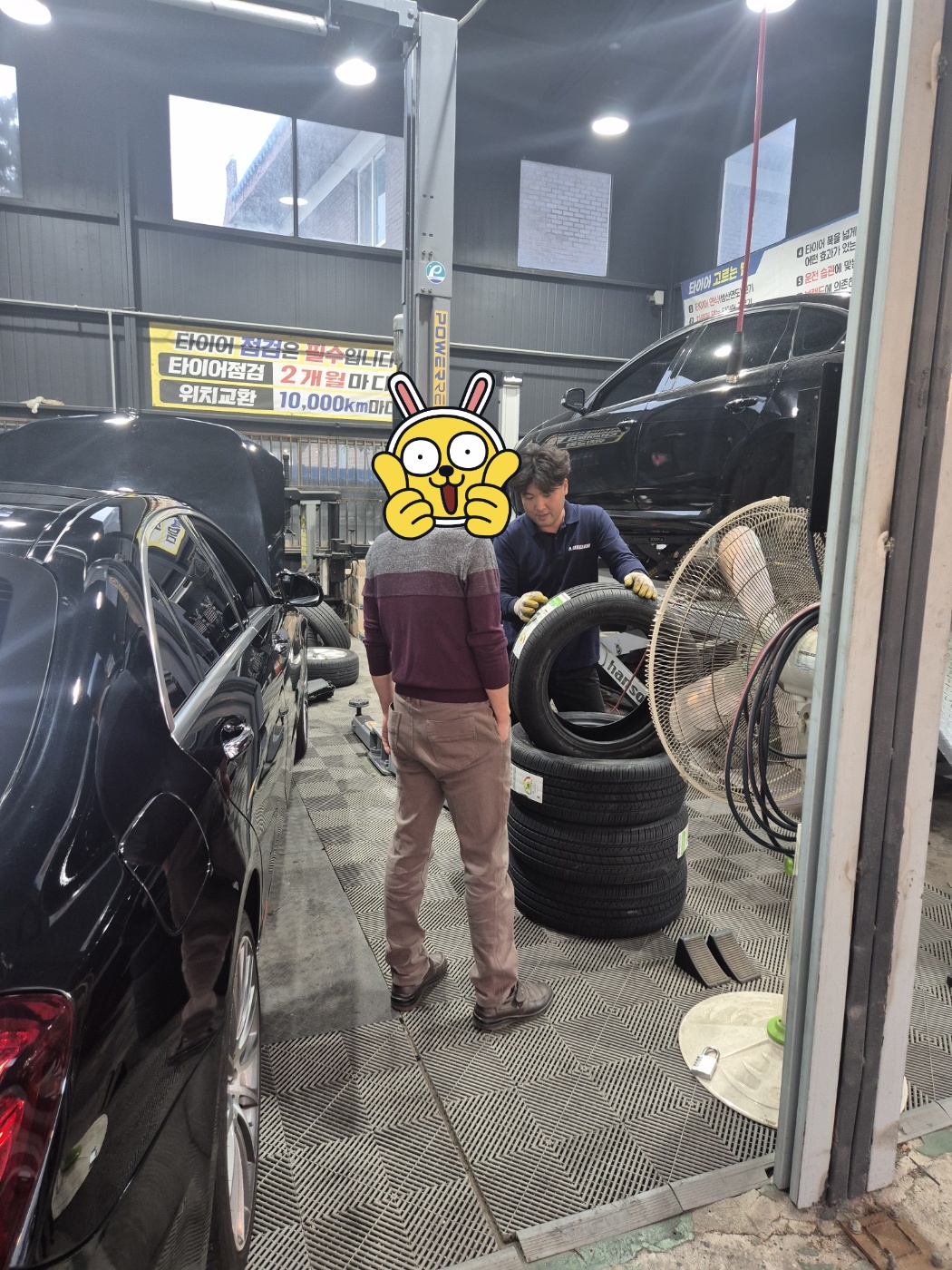 /user/k/kingkongtire/editor/2410/c35f596752ea2ff89df7d8cb59322eff_1728290961_6022.jpg 이미지크게보기