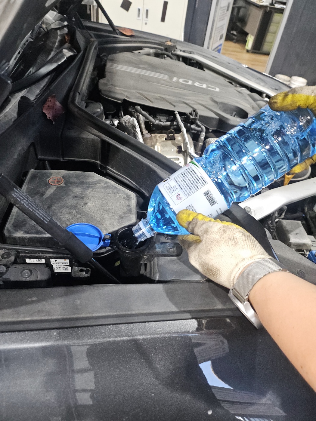 /user/k/kingkongtire/editor/2411/1a6ffe295e3e7ca309ed1782c77618b3_1731314785_7654.jpg 이미지크게보기