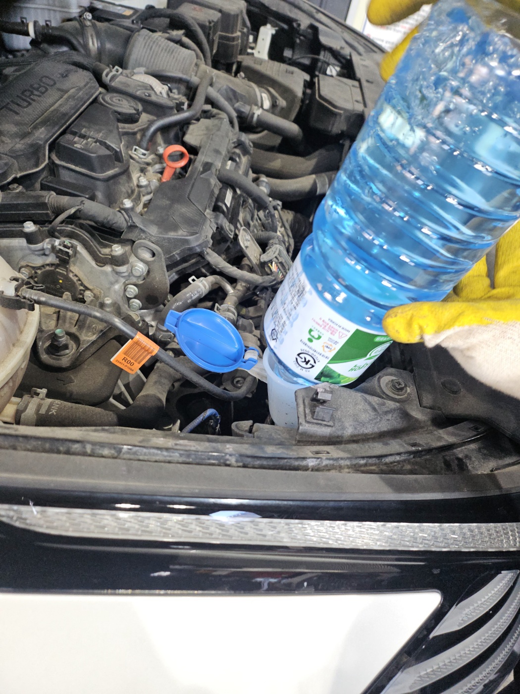 /user/k/kingkongtire/editor/2412/1dd95aa937c175160ae33e6b07dc8d85_1733288365_8882.jpg 이미지크게보기