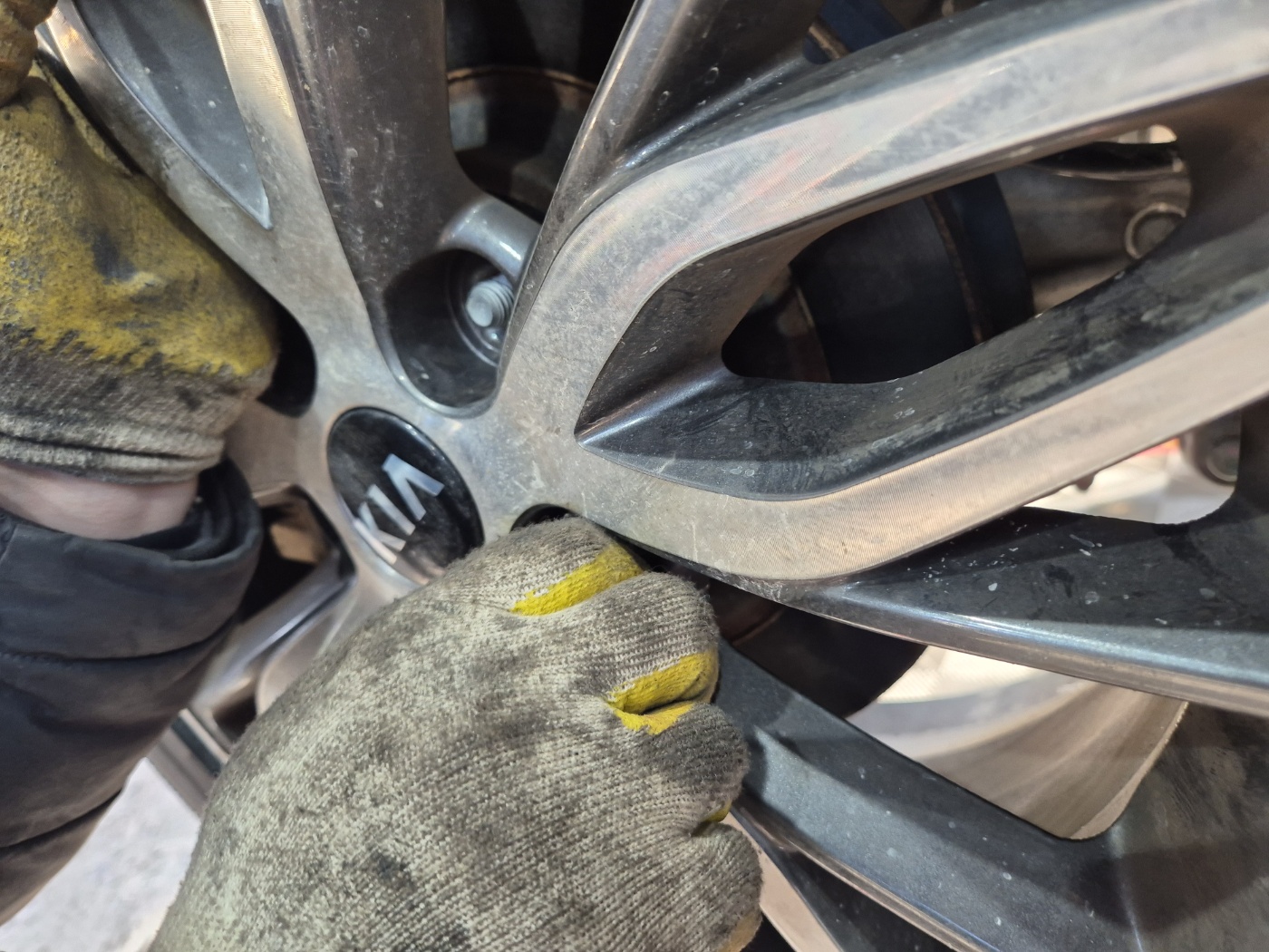 /user/k/kingkongtire/editor/2412/b6c42fd820bcd4c9d27ff9233e852a9b_1734159265_7219.jpg 이미지크게보기